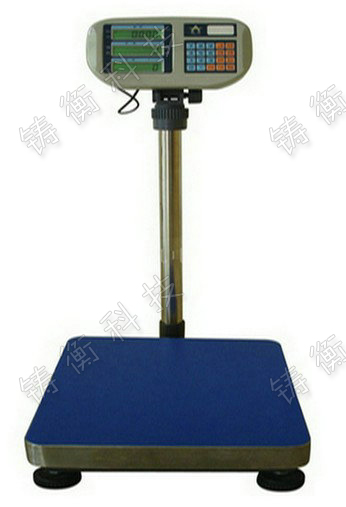 計(jì)數(shù)電子臺(tái)秤